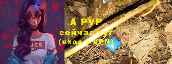 шишки Саяногорск