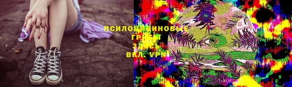 spice Алексин