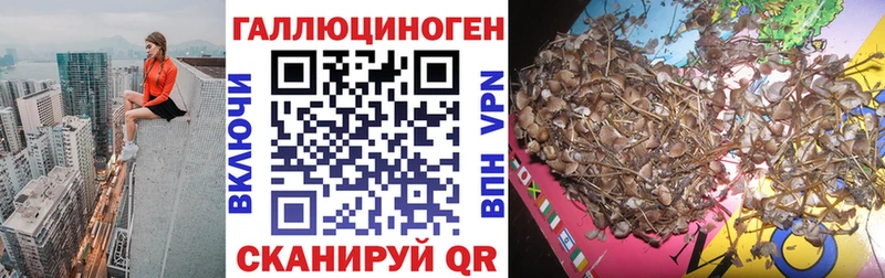 хочу наркоту  Карабаш  Галлюциногенные грибы мицелий 